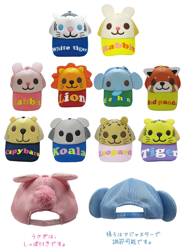 doubutsu