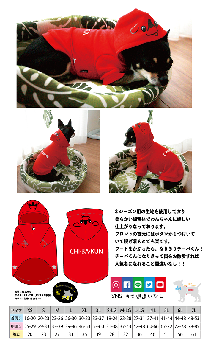 dog700